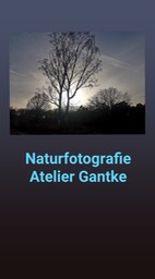 IMG_1614408352193